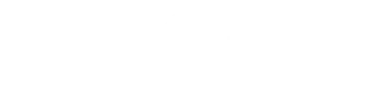Логотип Phygital International